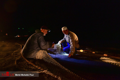 آغاز فصل صید ماهی استخوانی - مازندران
