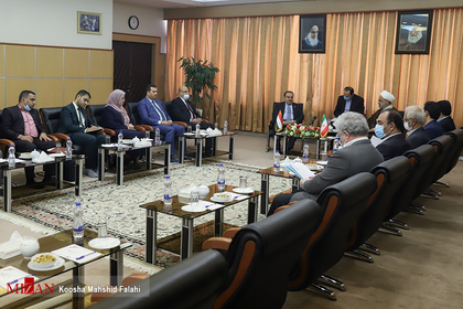 دیدار وزیر دادگستری عراق با معاون اول قوه قضاییه