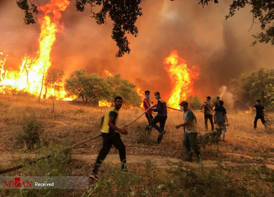 آتش‌سوزی‌های جنگلی در مناطق جنگلی شمال الجزایر