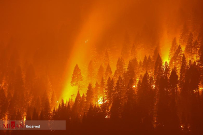 دومین آتش سوزی بزرگ کالیفرنیا 