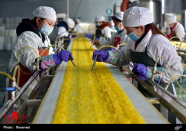 کارخانه های تولید مواد غذایی در چین