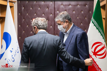 دیدارمدیرکل آژانس بین‌المللی انرژی اتمی با رئیس سازمان انرژی اتمی ایران 
