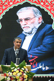محمد اسلامی رئیس سازمان انرژی اتمی