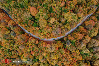 پاییز هزار رنگ در مازندران
