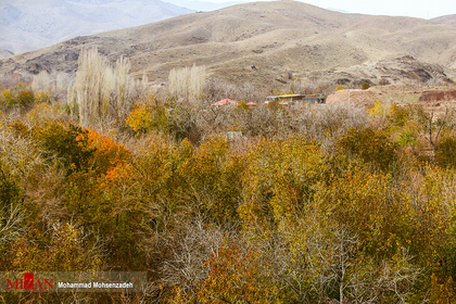 طبیعت پاییزی روستای قاهان - قم
