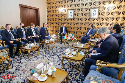 کمیسیون مشترک اقتصادی ایران و مجارستان
