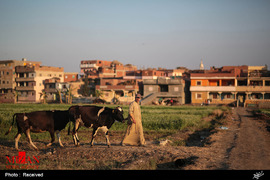 زندگی روستایی در مصر
