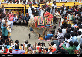 جشنواره های سنتی در هند