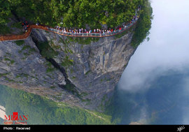 پل شیشه ای بر فراز دره های چین‎
