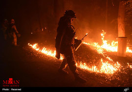 آتش سوزی در کالیفرنیا