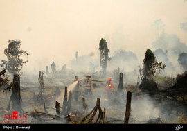 آتش سوزی جنگل در اندونزی