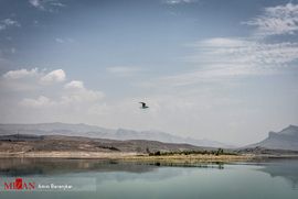 سد درودزن بعنوان مهمترین منبع تامین آب کشاورزی در منطقه کامفیروز و مرودشت استان فارس شناخته می شود، سطح آب این سد از حدود بیش از 1 میلیون متر مکعب طی چند سال گذشته به حدود 300 هزار متر مکعب کاهش یافته است.