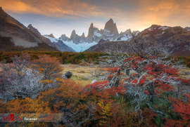 پارک ملی آرژانتین