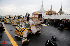 ادای احترام فیل ها به پادشاه تایلند