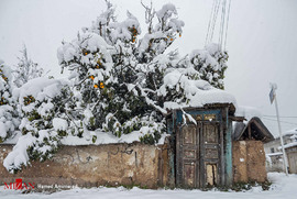 بارش برف پاییزی در مازندران
