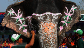 جشنواره فیل های زیبا در نپال