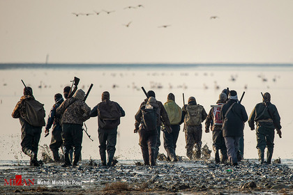 شکارچیان غیر قانونی پرندگان مهاجر تالاب آشوراده را به قتلگاه پرندگان مهاجر تبدیل کردند. 